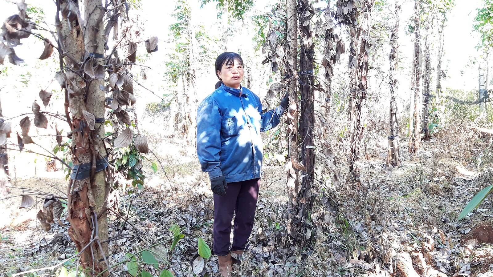 Nợ nần vì tiêu rớt giá và chết