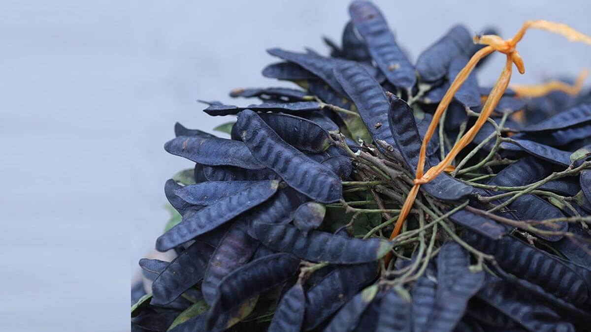 4 cách phục hồi tóc hư tổn từ thiên nhiên đơn giản tại nhà 2