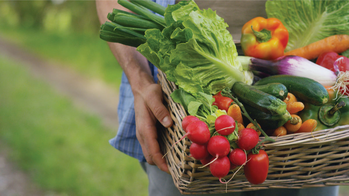 11 công dụng của nước vo gạo thường bị chúng ta bỏ phí 4