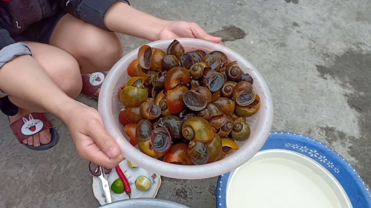 11 công dụng của nước vo gạo thường bị chúng ta bỏ phí 7