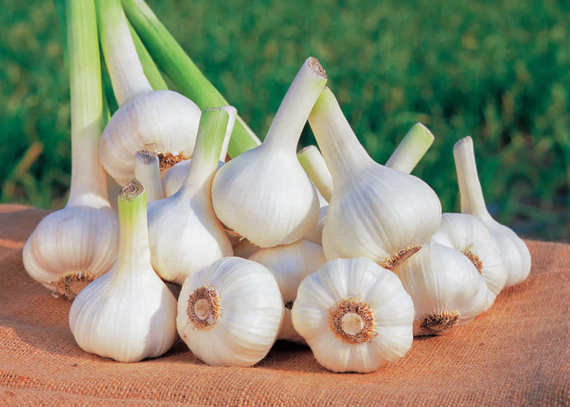 4 mẹo chữa ngộ độc thức ăn tại nhà rất hiệu quả bạn nên biết  4