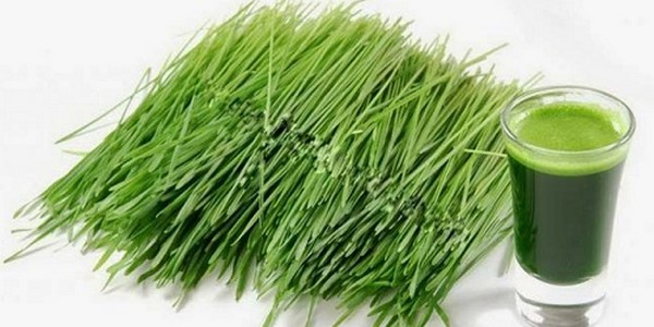 Chữa yếu sinh lí nam giới bằng lá hẹ