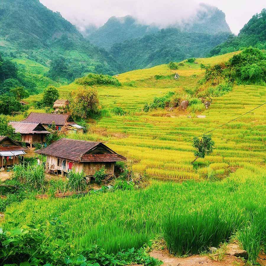Nương rẫy của người Ê đê