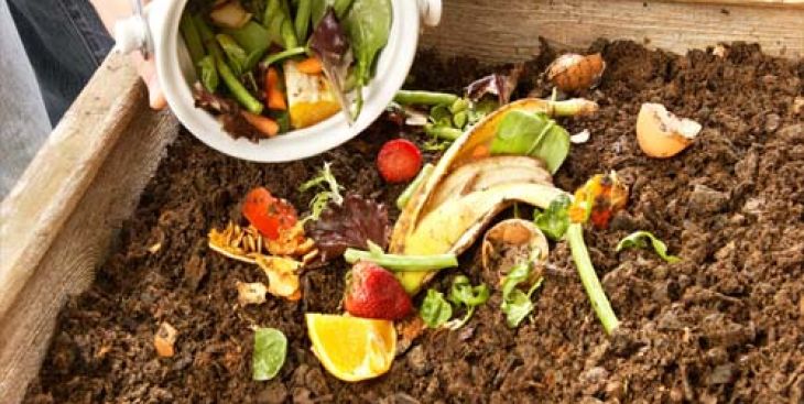 Tự làm thùng ủ rác hữu cơ & cách làm đất trồng rau trong thùng xốp