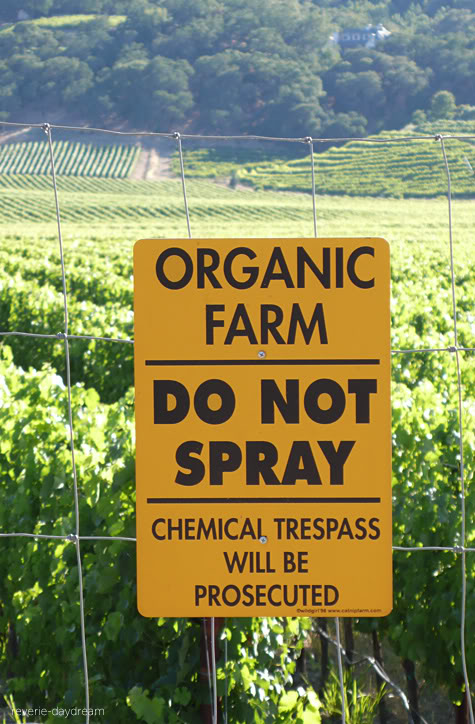 Cửa hàng rau sạch Organic Farm