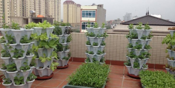 Tháp rau hữu cơ & toàn bộ kiến thức cần biết (Sổ tay)