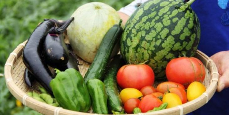 Rau hữu cơ: Tất tần tật những điều cần biết