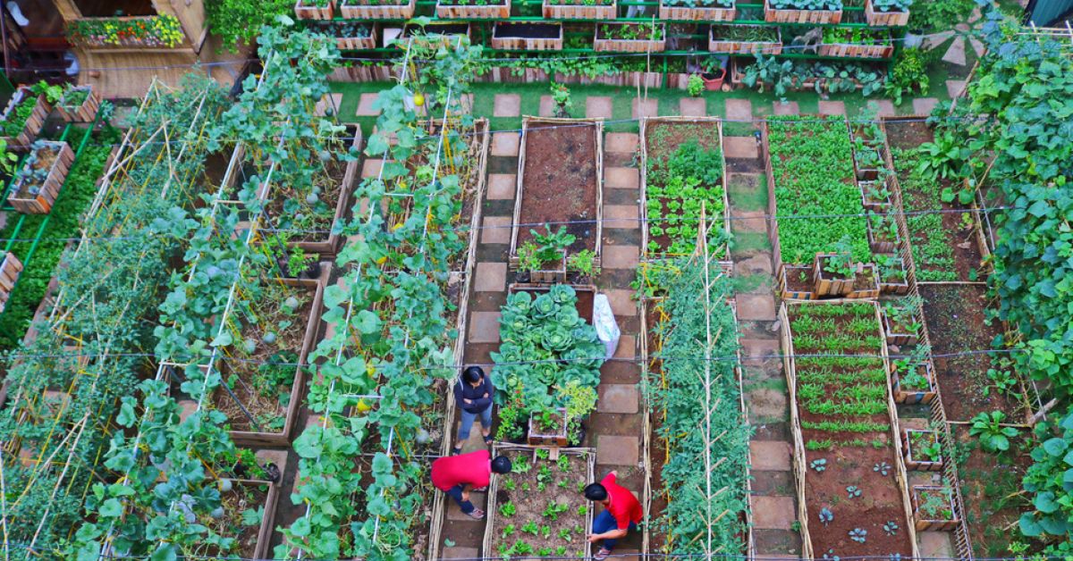 Nhà máy trồng trọt  Mô hình hiệu quả trong phát triển Đô thị và Nông thôn  bền vững  Tạp chí Kiến Trúc