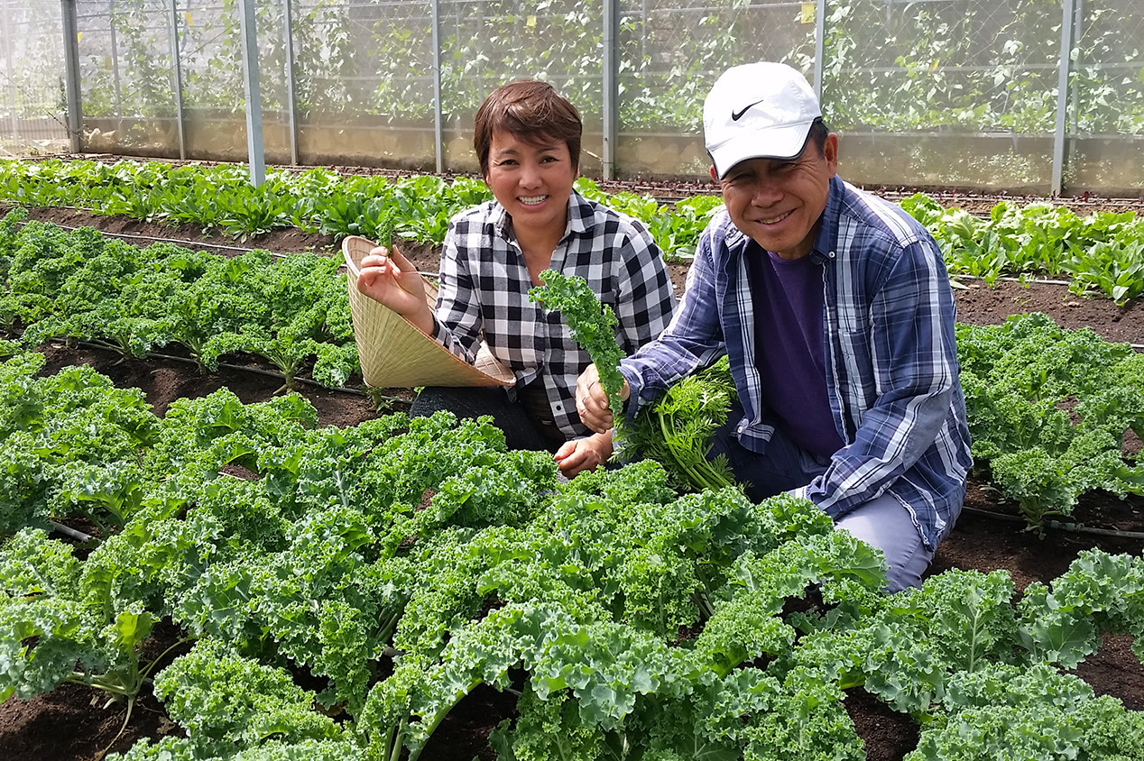 Vườn rau hữu cơ tại xã Xuân Thọ, Đà Lạt