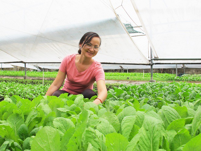 Vườn rau hữu cơ của nữ thạc sĩ ở TPHCM