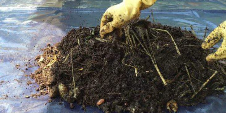 Cách ủ rác thải nhà bếp trồng rau đơn giản