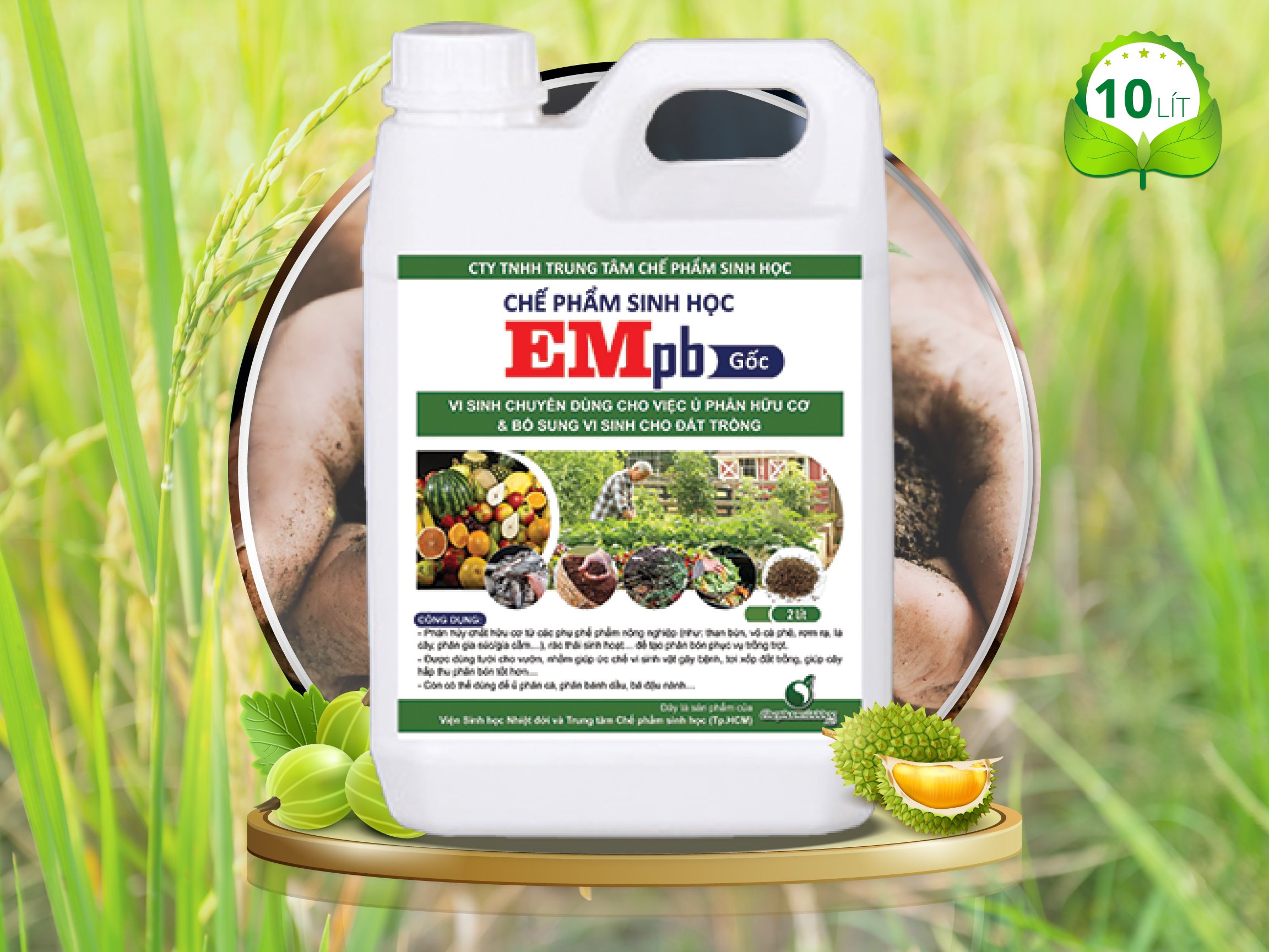 Sử dụng chế phẩm sinh học giúp xử lý mùi từ rác thải nhà bếp khi ủ phân