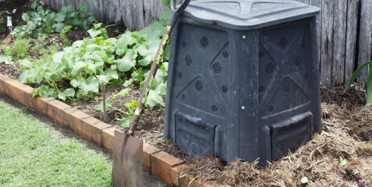 Cách xử lý mùi từ rác thải nhà bếp trồng rau bằng chế phẩm sinh học