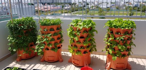 Trồng rau hữu cơ bằng tháp phù hợp với gia đình có diện tích nhỏ
