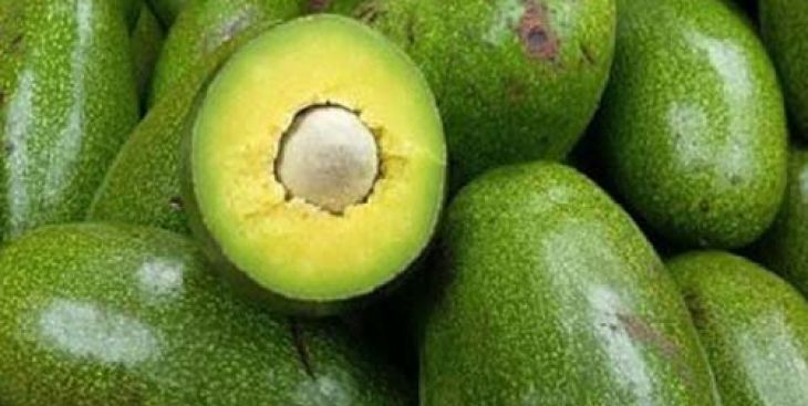 7 loại bơ Đắk Lắk dẻo, ngon nhất hiện nay trên thị trường