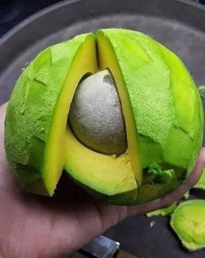 Nên chọn bơ có độ chín vừa phải