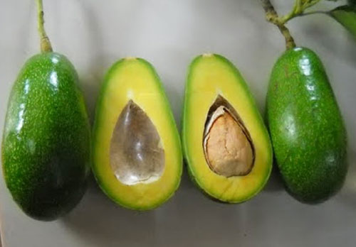 Thịt bơ có màu vàng óng