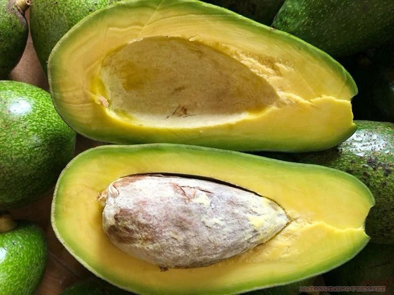  Nên chọn bơ vừa chín tới