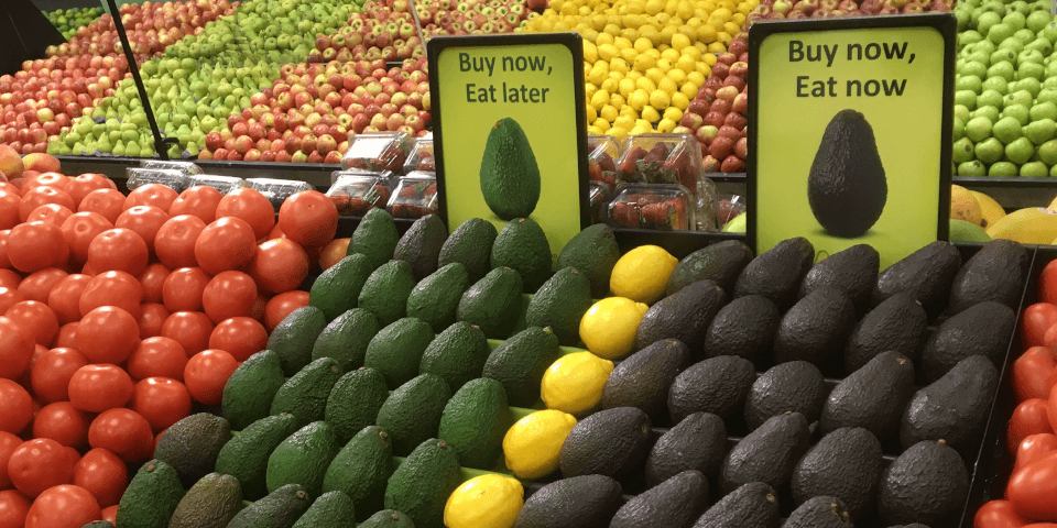  Cửa hàng trái cây miền Nam chuyên cung cấp bơ sạch