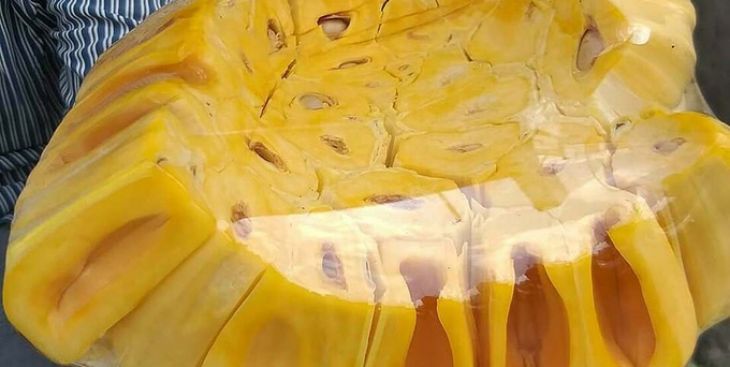 Giá mít thái da xanh giảm mạnh xuống chỉ còn vài nghìn đồng một kg gam