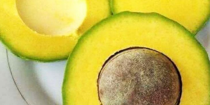 Bơ Booth chín có tác dụng gì? Bật mí cách ủ bơ Booth nhanh chín nhất