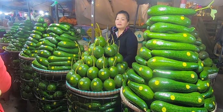 Dự đoán giá bơ 034 năm nay sẽ giảm so với năm 2019