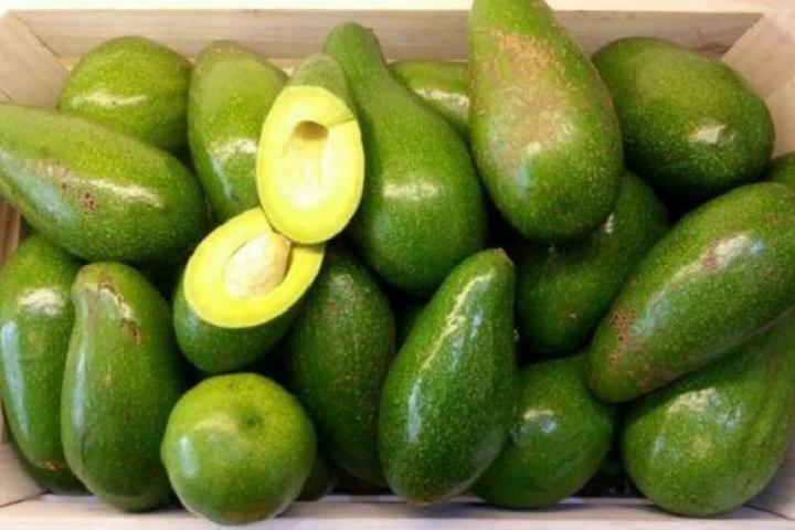 Giá bơ Trịnh mười bán ra thị trường cao