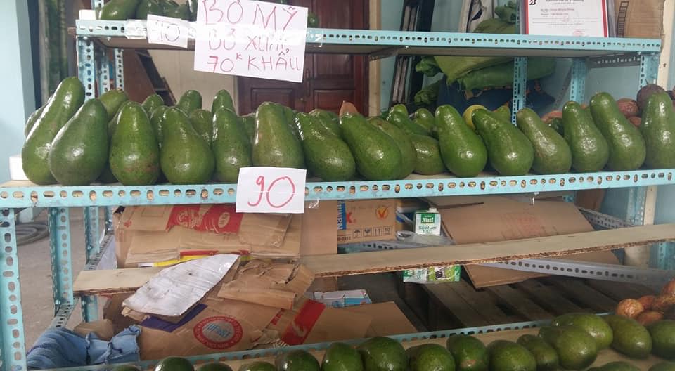 Vựa bơ 034 sạch Hưng Thủy