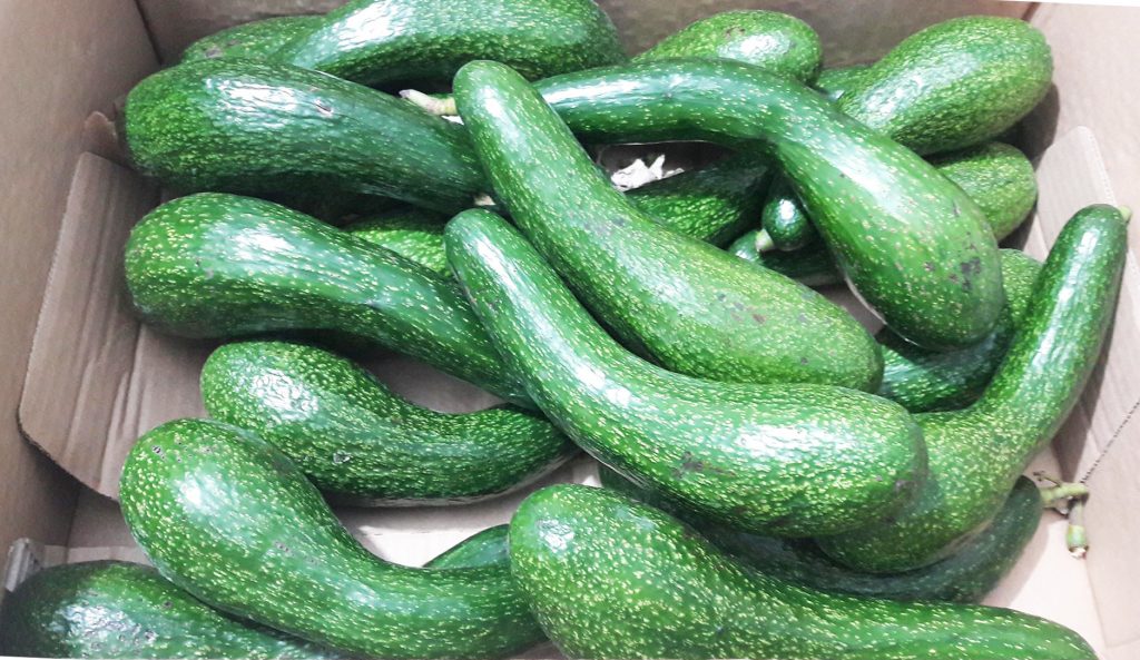 Vựa trái cây nông sản sạch Đăk Lăk Kim Ngân