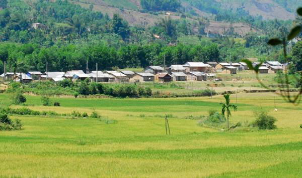 Hỗ trợ thu hồi đất cho người dân trực tiếp sản xuất nông nghiệp