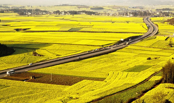 Luật thu hồi đất ruộng được quy định tại Luật đất đai 2013