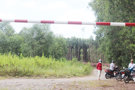  Thu hồi đất do vi phạm pháp luật về đất đai