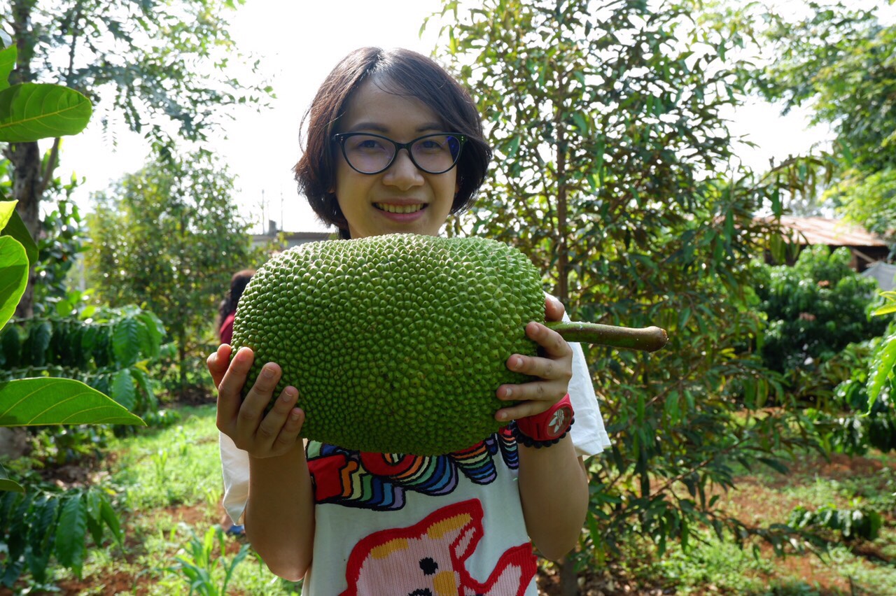 Mít thái sạch HCM