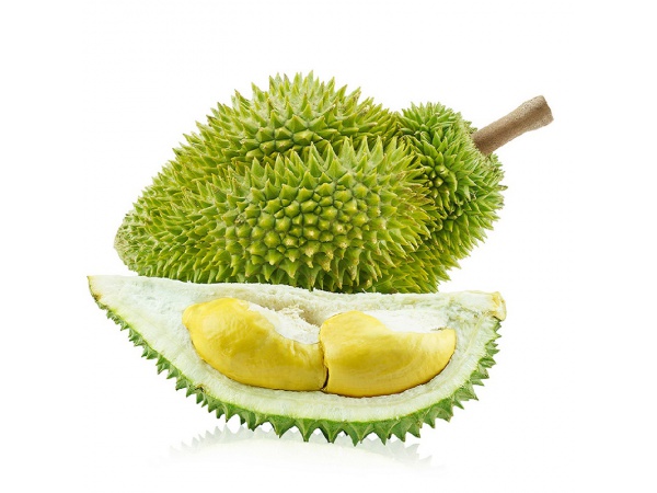 Sầu riêng khổ qua xanh cho chất lượng và năng suất cao