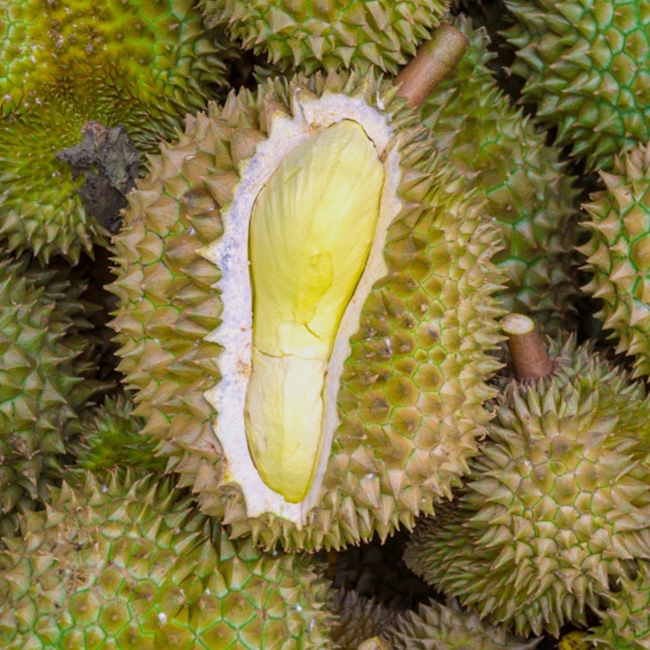 Quan sát gai sầu riêng khi mua