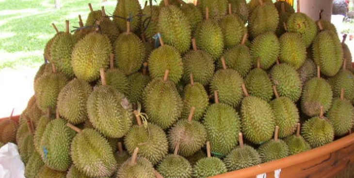 Mách bạn cách chọn mua sầu riêng sạch và đúng chuẩn