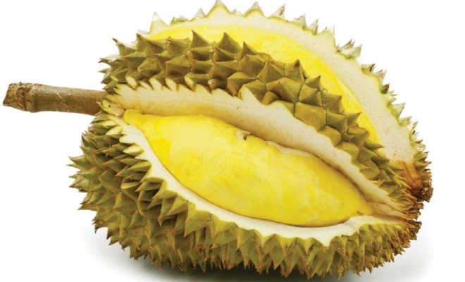 Sầu riêng Monthong có nguồn gốc ở Thái Lan