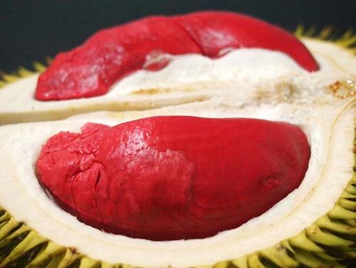 Sầu riêng ruột đỏ ngon và lạ mắt
