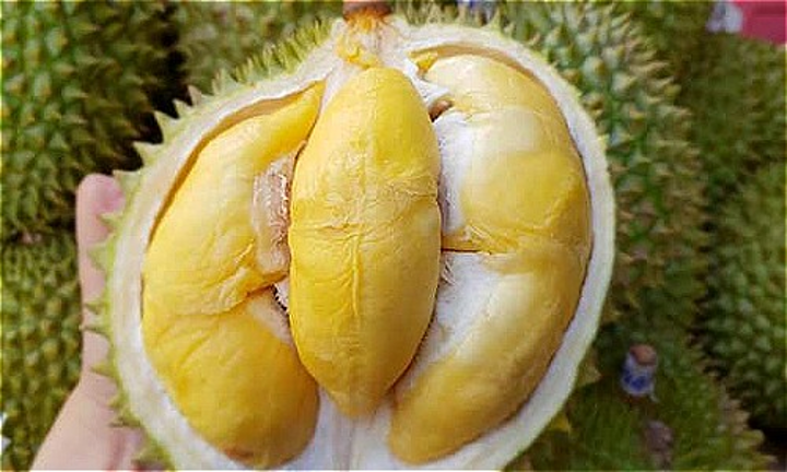 Chọn sầu riêng Thái ngon đúng chuẩn