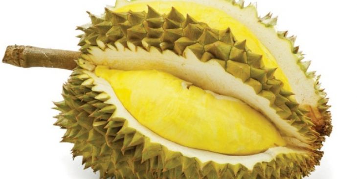 06 thông tin cần biết về đặc sản sầu riêng Monthong ở Việt Nam