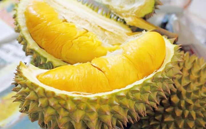 Sầu riêng Ri6 có cơm vàng, vị ngọt đậm