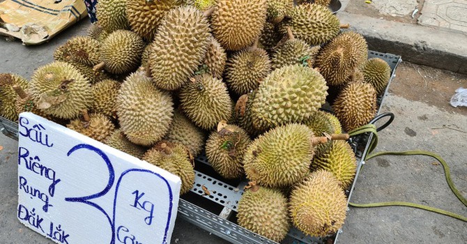 Sầu riêng giá rẻ xuất hiện tràn lan trên thị trường