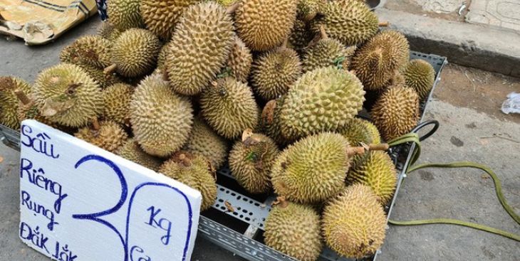 Ăn sầu riêng giá rẻ không rõ nguồn gốc coi chừng rước họa vào thân