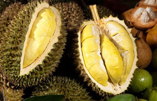 Sầu riêng là loại trái cây đặc sản ở nước ta