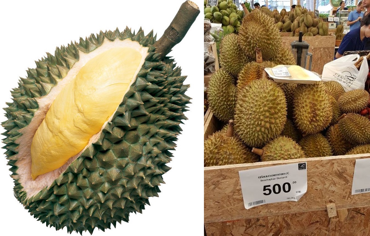 Sầu riêng Dona ngon có giá khoảng tầm 80.000 đồng/kg