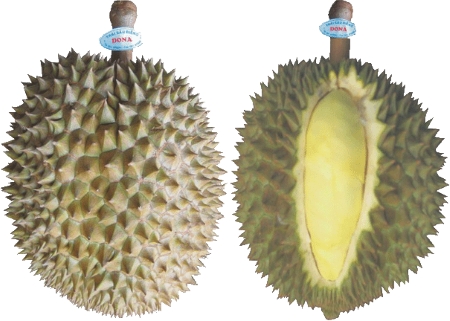 Giá sầu riêng Thái năm nay cũng giảm