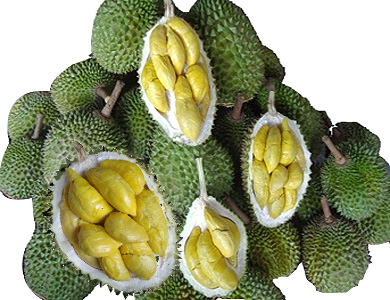 Sầu riêng khổ qua năm nay có giá trung bình