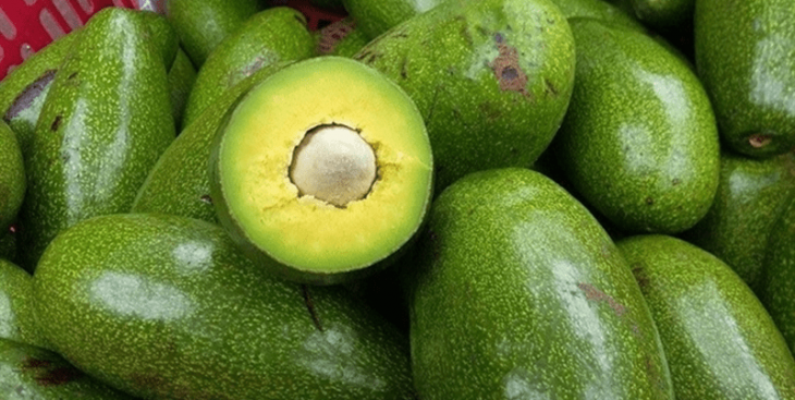 Bơ Tứ Quý là gì? Tất tần tật về Bơ Tứ Quý