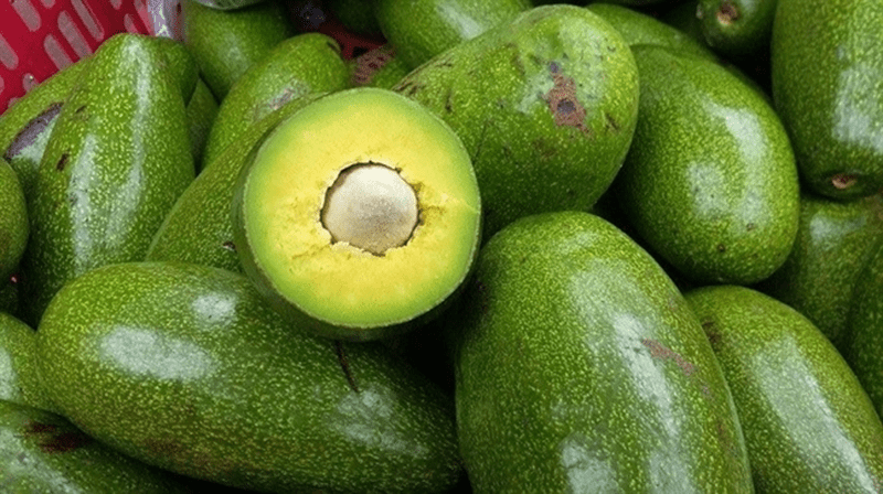  Mia Fruit cung cấp bơ tứ quý ngon với giá phải chăng