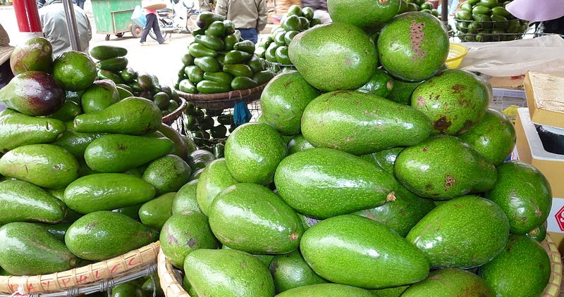 Bơ Tứ Quý hiện được bán với giá cao hơn so với bơ đại trà